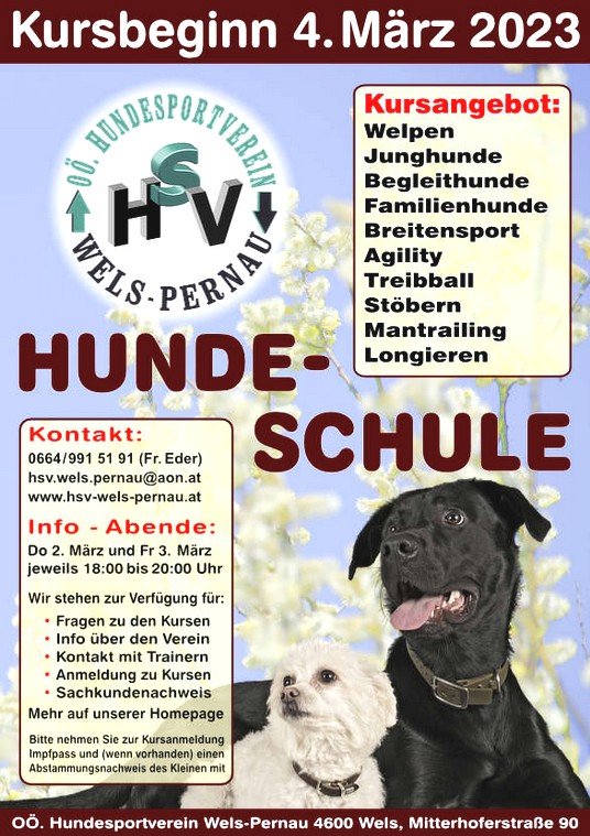 Poster-Kursbeginn