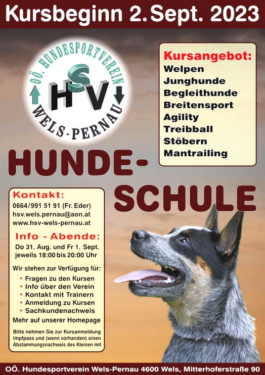 Poster-Kursbeginn